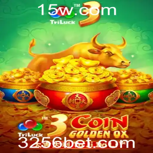 256 bet Casino App