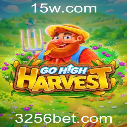 256 bet Casino App